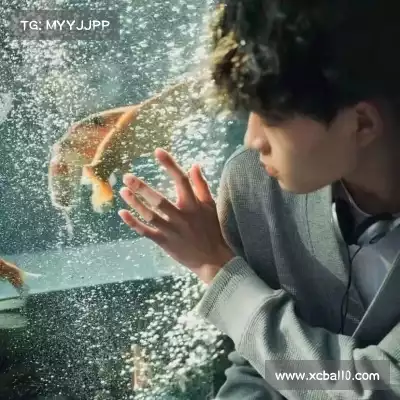 费朗标